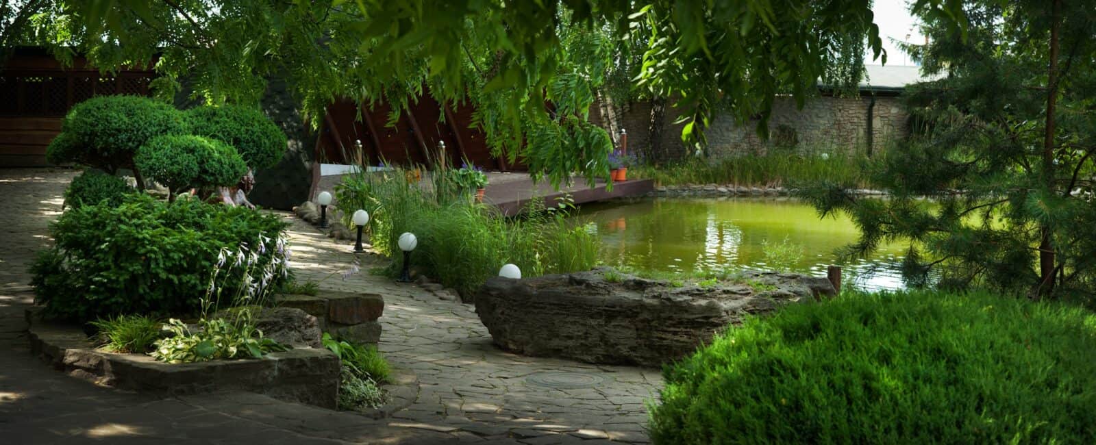 a cozy corner of the garden, a pond and various bushes and trees, landscape design