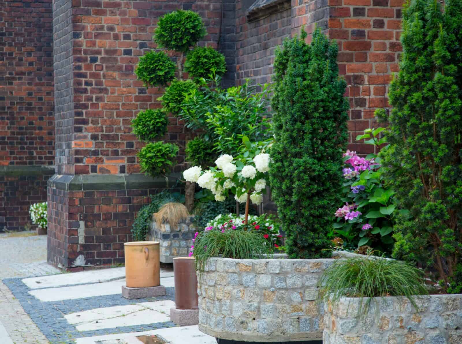 Beautiful flowers near red brick wall