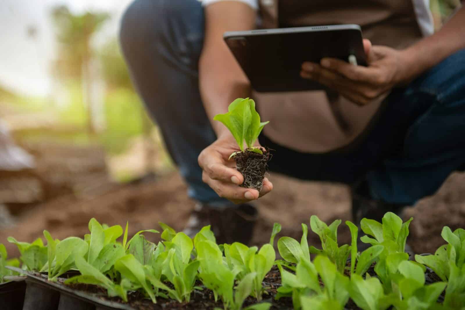 Geneticists, biologists, and scientists are studying the genetic structure of vegetables.