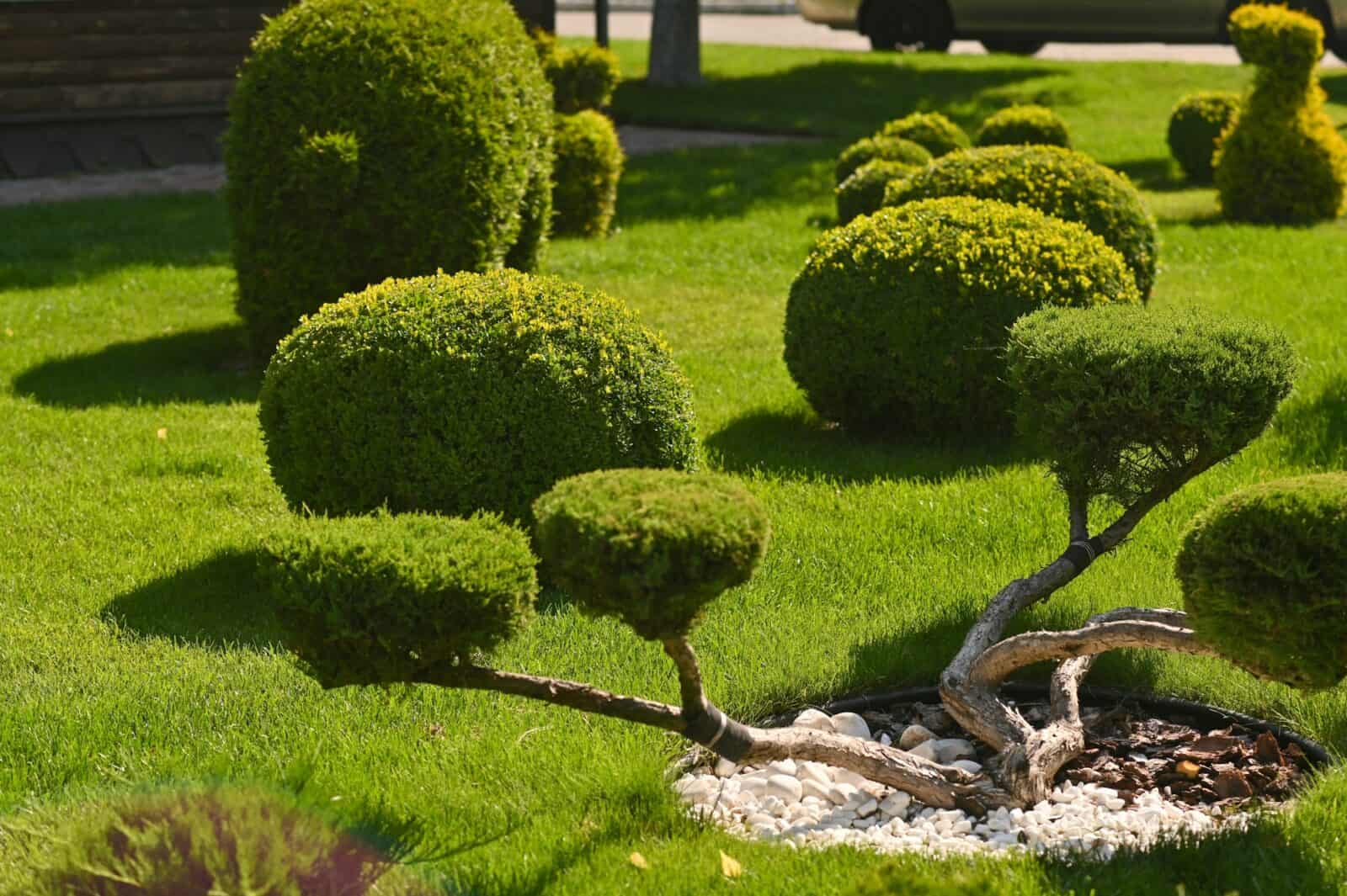 Landscape design of a garden in a public park