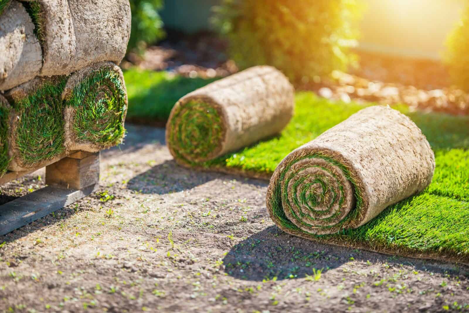 Preparing For Grass Installation