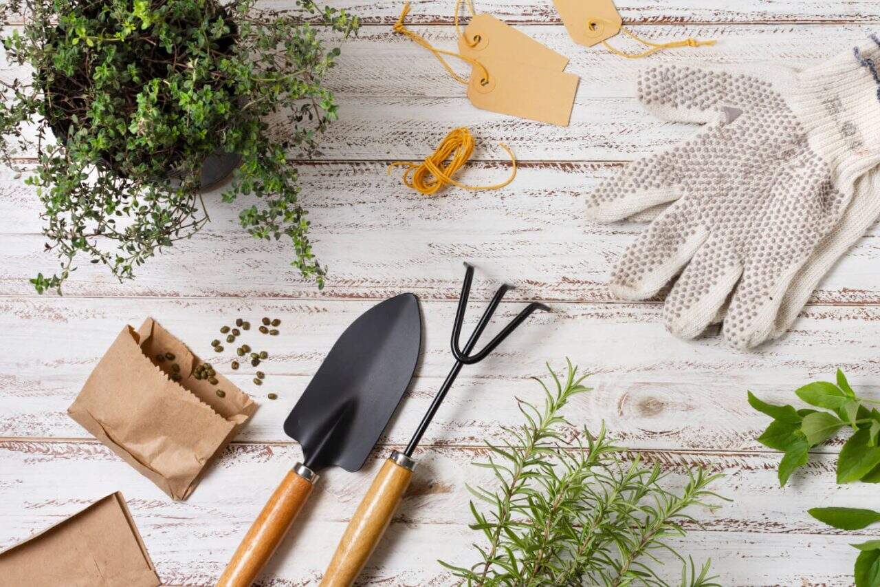 Garden Building Services